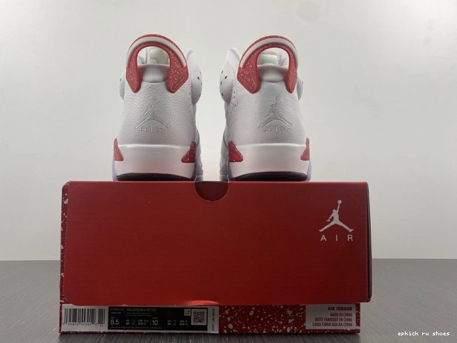 Rep CT8529-162 6 Retro Jordan Hare 0712